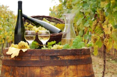 il vino francese costa di più, ma è davvero migliore di quello italiano?